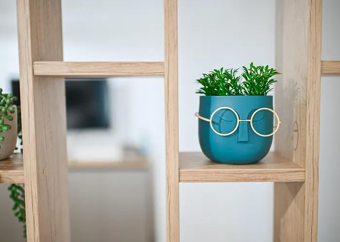 Sery Infinity Alz Lägenhet Năvodari